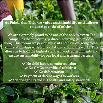 Palais des Thes - Flavored Teas Gift Box - 45 Assorted Premium Tea Bags