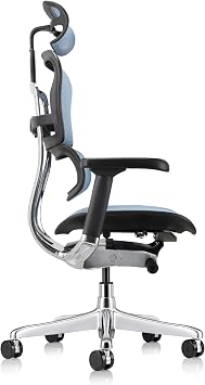 Ergohuman Eurotech Mesh Chair - 18.1A 22.9 Seat Height - High-Back Chair with Headrest - Blue - Blue