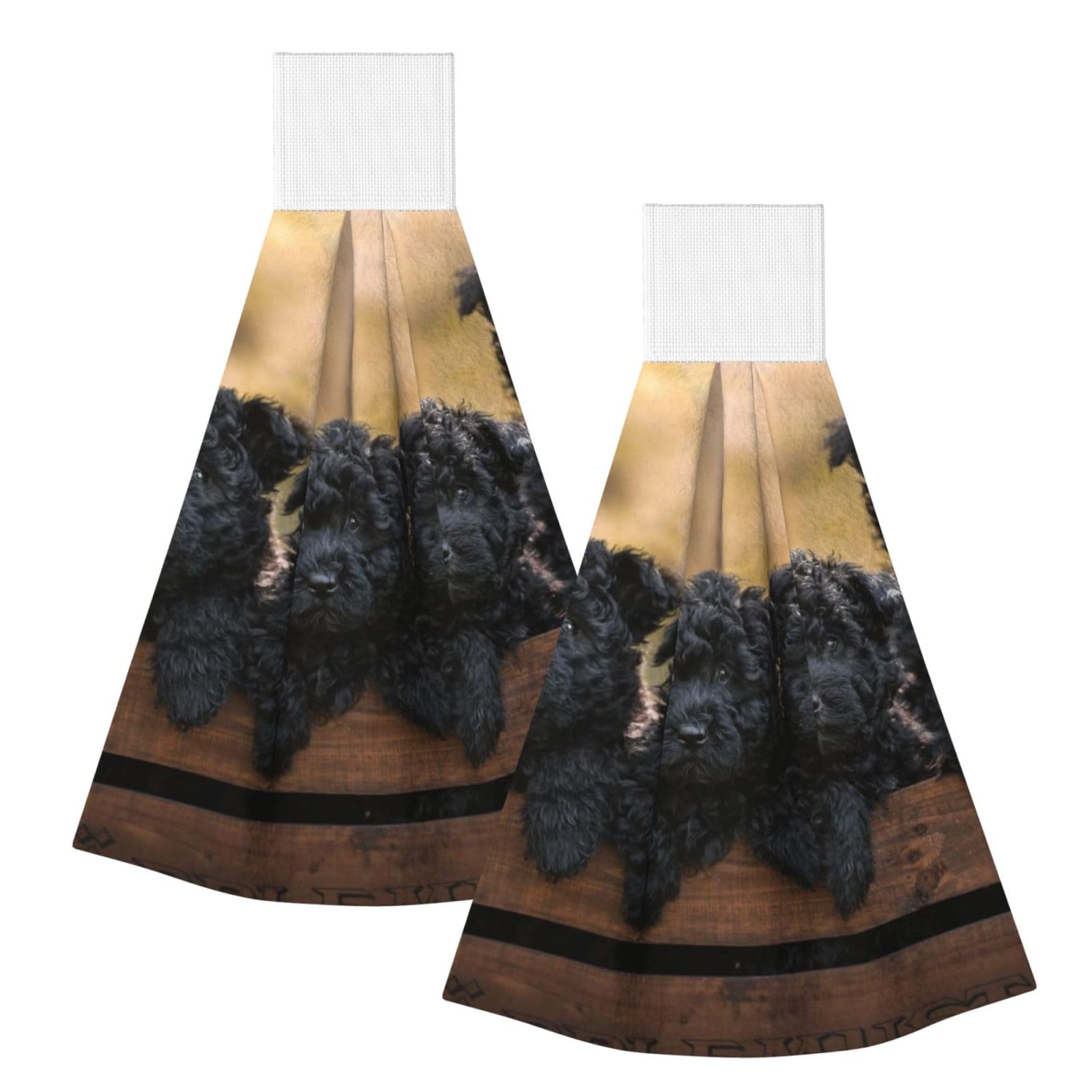 DOPKLNA Affenpinscher Family Puppies Black Dogs Monkey, 2 Pcs Hanging Coral Fiber Hand Towels for Bathroom, Absorbent Kitchen Towels