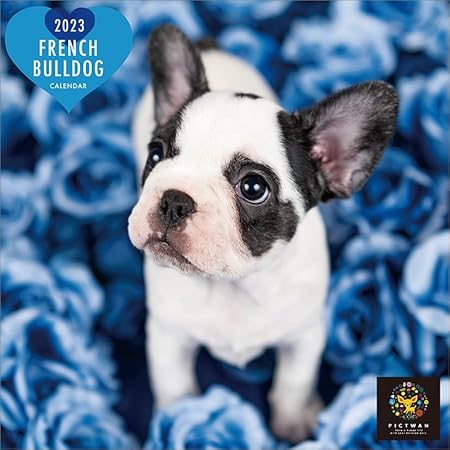 Amazon わくわく製作所 S版 フレンチ ブルドッグ 23年 カレンダー Cl23 1237 白 カレンダー 文房具 オフィス用品 Amazon わくわく製作所 S版 フレンチ ブルドッグ 23年 カレンダー Cl23 1237 白 カレンダー 文房具 オフィス用品