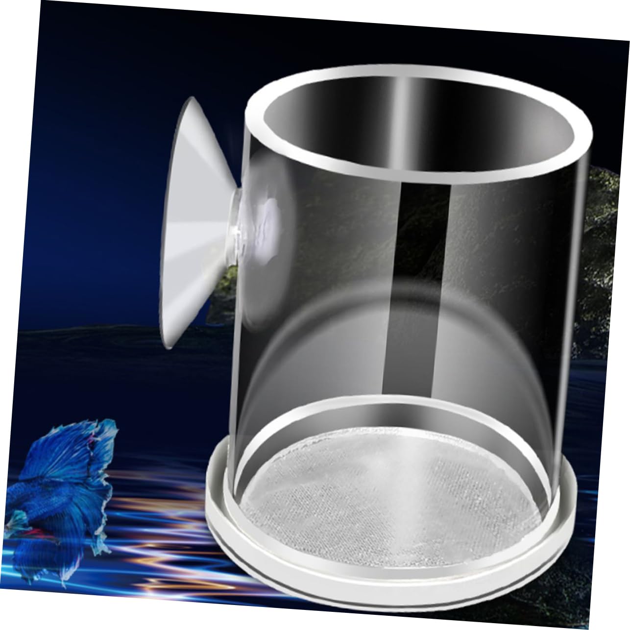 Happyyami 5stücke Fischfutterring Für Aquarien Netzdesign Fördert Gesundes Fressen Und Wachstum Aus Bruchsicherem Acryl Dekorativ Und Funktional Für Zierfische