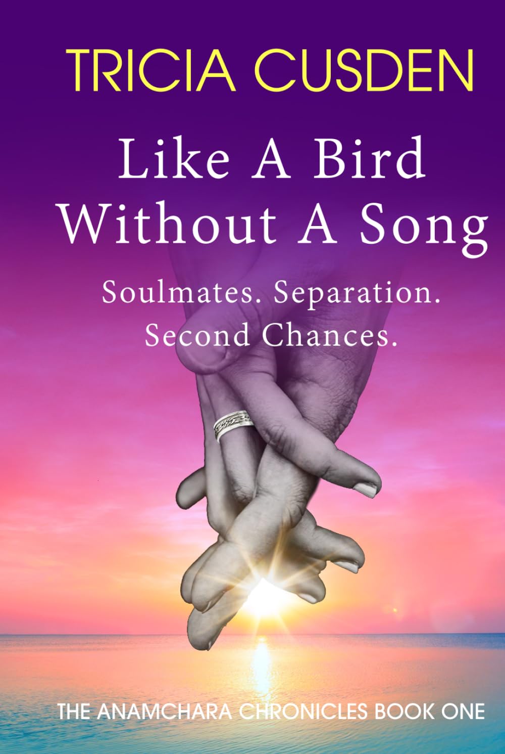 Like A Bird Without A Song: Soulmates. Separation. Second Chances.