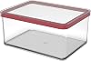 Rother Brau Rotho Loft Storage Box 2.25 l with lid, Plastic PP BPA-Free, 2,25l 20,0 x 15,0 x 9,6 cm, 2.25 Litre, Transparent Red Seal