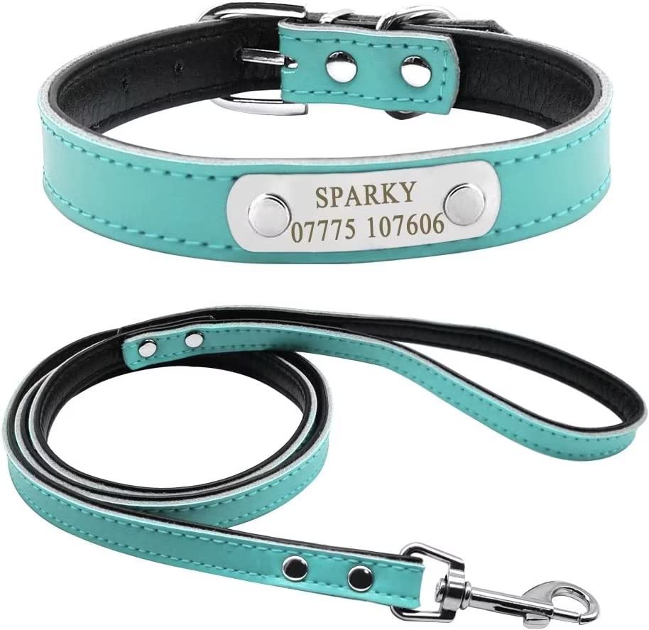 Didog Ensemble collier et laisse rembourrés en cuir souple avec plaque d'identification gravée personnalisée, pour chiens de petite et moyenne taille, bleu, taille M