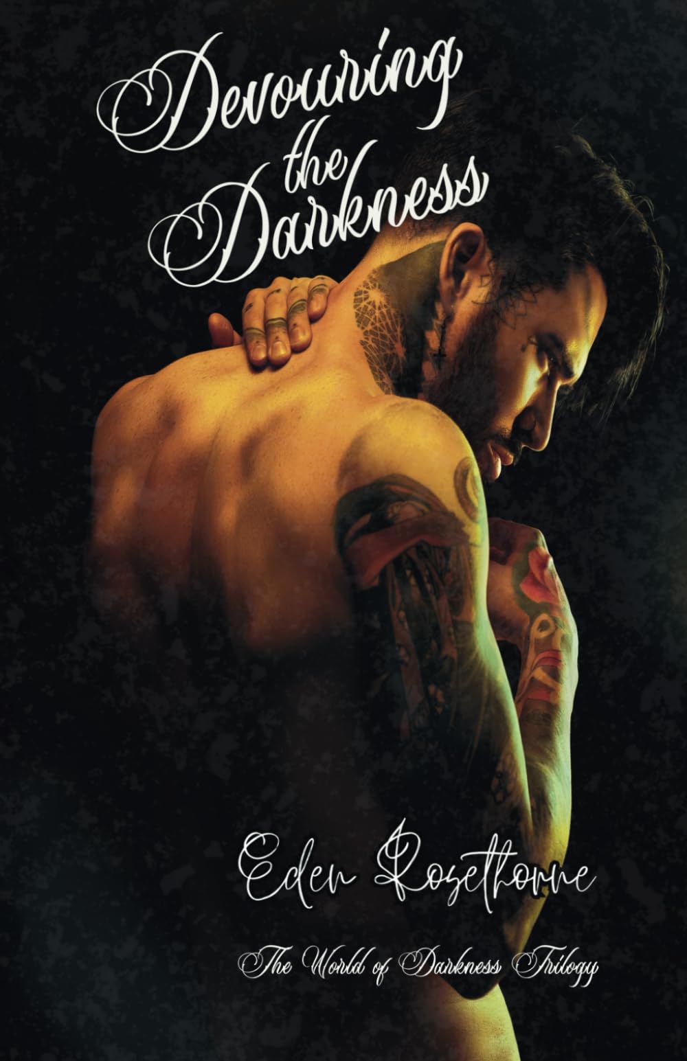 Devouring The Darkness (The Shadowfell Universe)