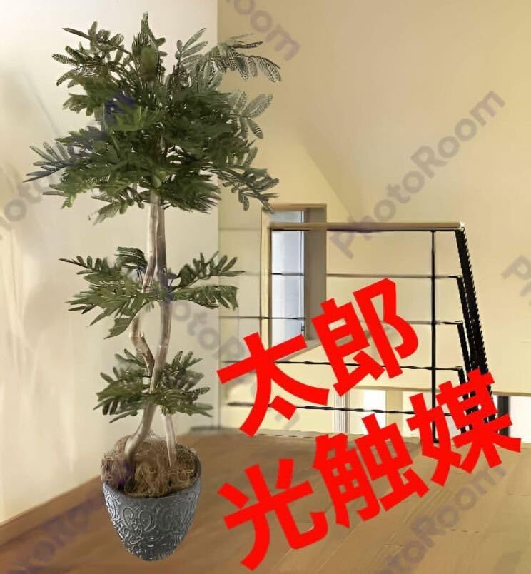 Amazon.co.jp: 光触媒 人工観葉植物 ウォールグリーン フェイク