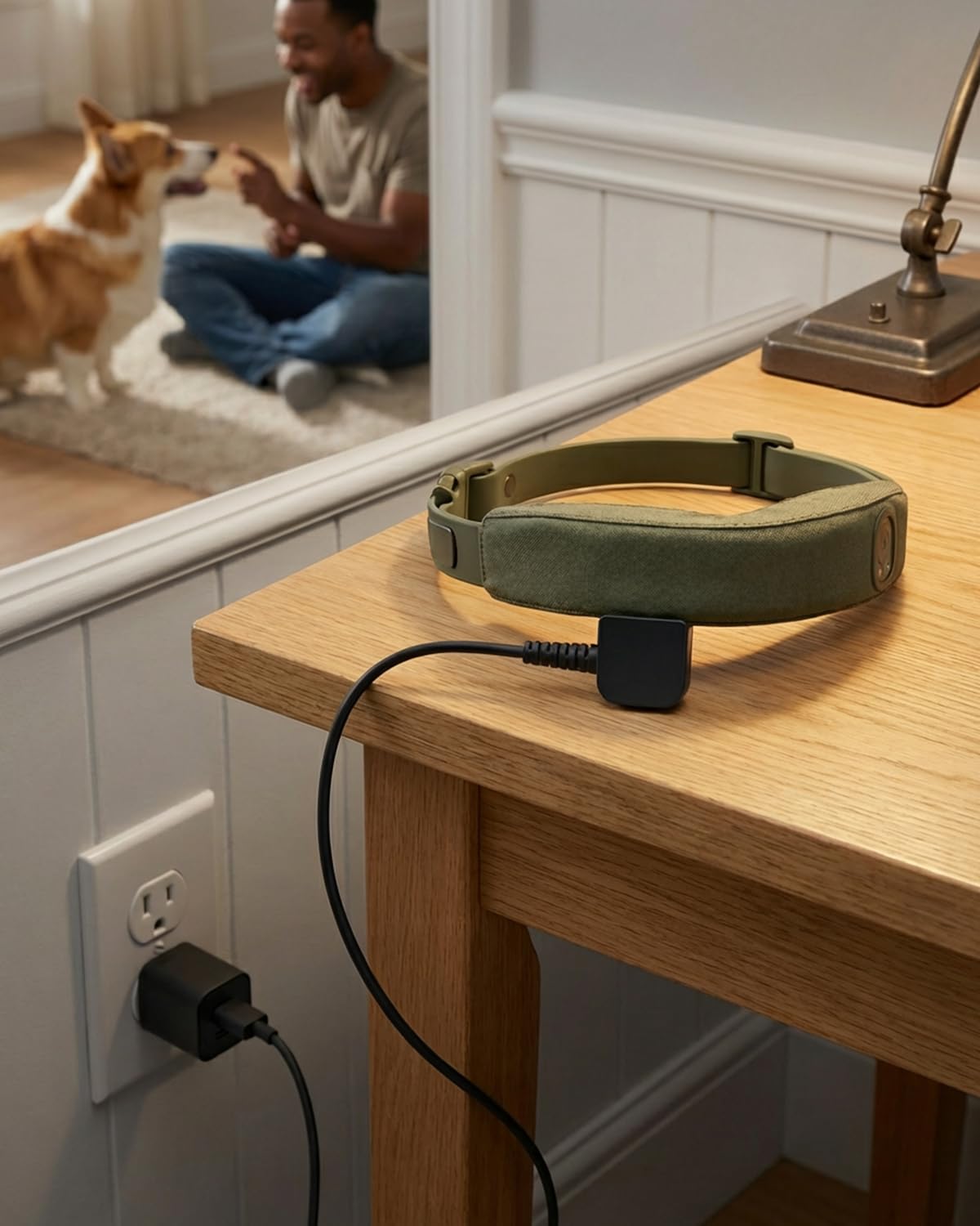 Cavo di ricarica magnetico compatibile con Halo Collar 4 5 Dog Fence USB