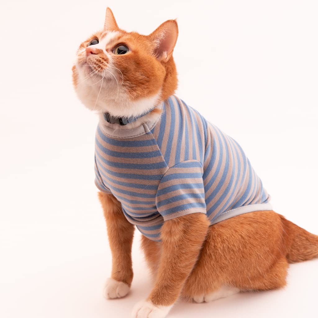 Amazon.co.jp: ぽぽねこ