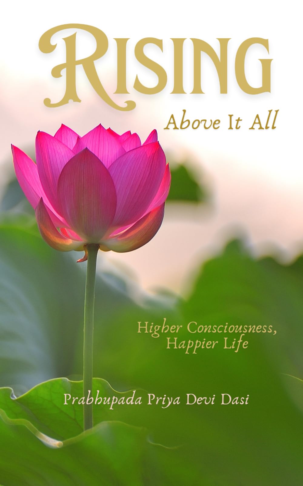 Rising Above It All: Higher Consciousness, Happier Life