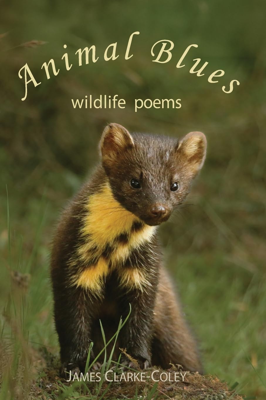 Animal Blues: wildlife Poems (Wildlife Poems for Fireside Reads)