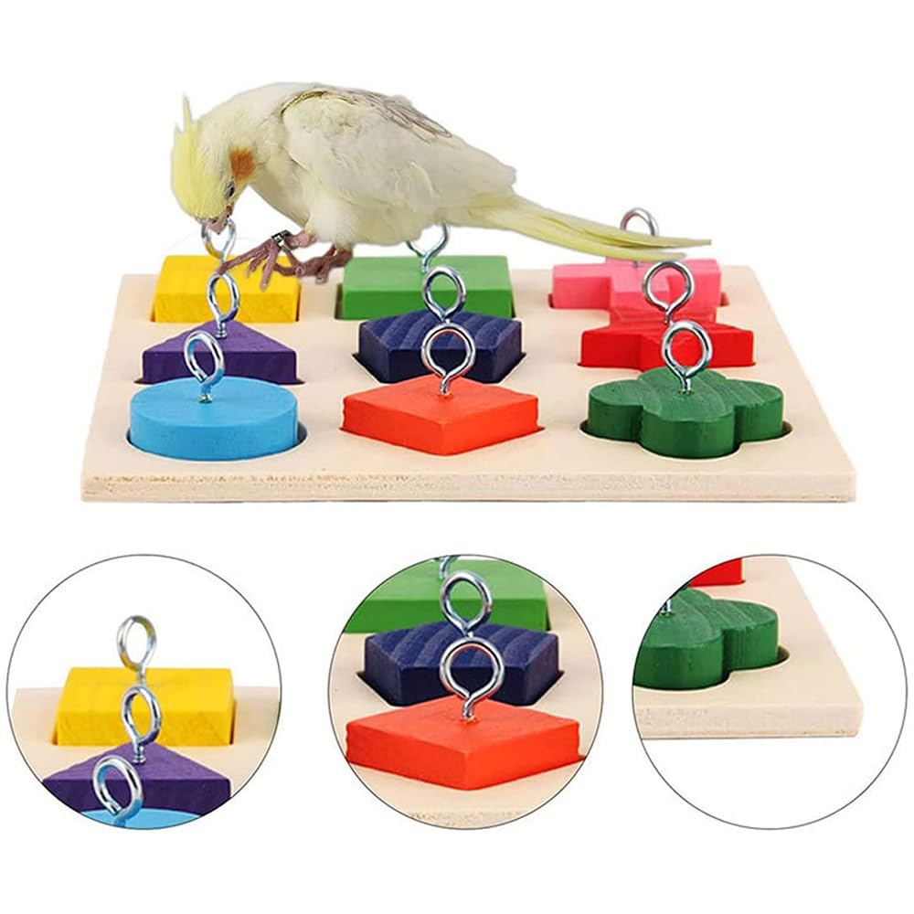 Hsthe Sea 4 Pcs Parrot Chew Bird Bauble Ring Basketball Hoop Skateboard Set for Budgies Cockatiels Parakeets Bird To-y Accessories - Image 2