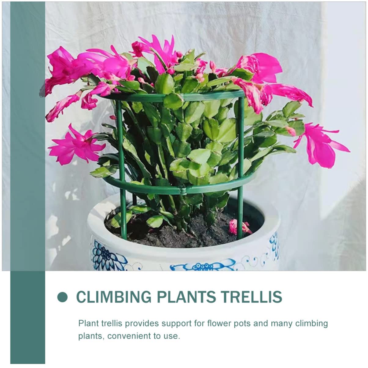 Toyvian 2 Ensembles Support De Plantes Tuteurs Orchidées Supports De Jardin pour Plantes Grimpantes pour Intérieur Et Extérieur 15 Pièces * 2
