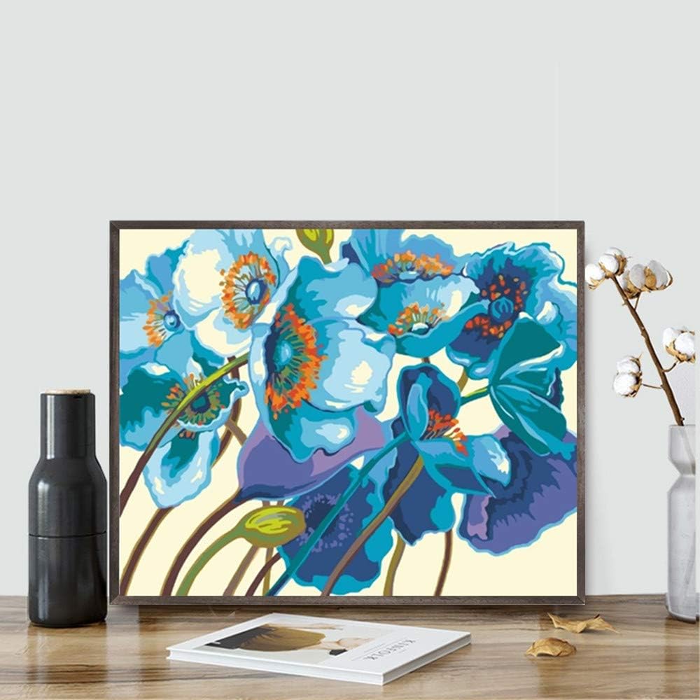 Amazon.co.jp Karyees Paint by Numbers Poppy DIY Paint by Numbersキット