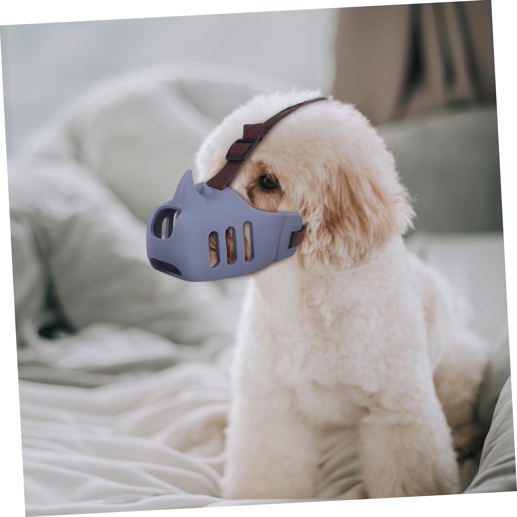 ERINGOGO Museruola per Cani Media e Grande in Silicone Regolabile 3 Pezzi Antiaucciato e Prevenzione Morsi Colore alla Moda per Uso Prolungato