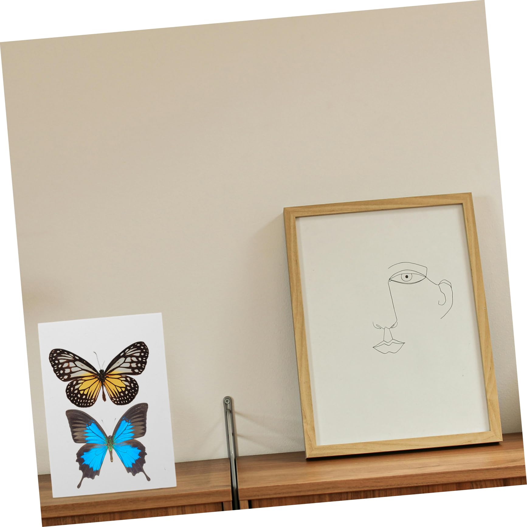 FUNOMOCYA Pose Board for Butterfly Butterfly Pinning Supplies Specimen Board Specimen Display Board Eva White