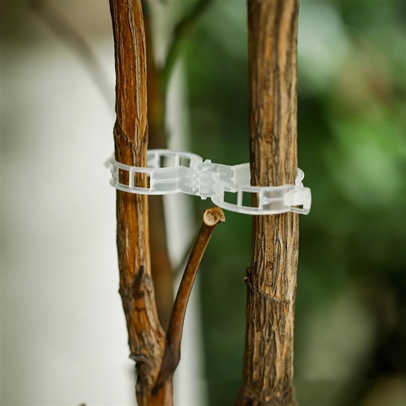 Mollette di sostegno per piante da giardino, Clip for piante in plastica Palo for traliccio Vite Ion Garden 50/100/150 Pz(150pcs)
