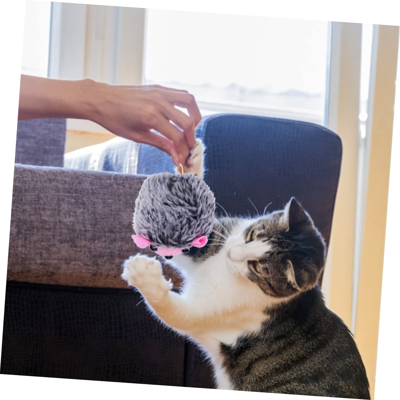 Yardwe 15pezzi Giocattoli Interattivi Per Gatti Peluche Vibranti Giocattoli Educativi e Divertenti Per Compagni Zampe Colori Misti