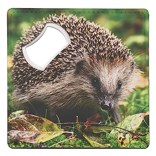 Favoloso sottobicchiere apribottiglie simpatico riccio animali da giardino natura selvaggia foresta 1 unità (92 x 92 mm)