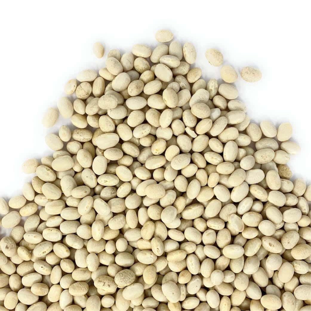 Il Contadino - Antichi Sapori | FAGIOLI TONDINI | Legumi Secchi, Ricchi di Proteine Vegetali e Fibre, Legumi Naturali di Qualità Premium, Senza Conservanti, Confezione Salva Freschezza (20 Kg)