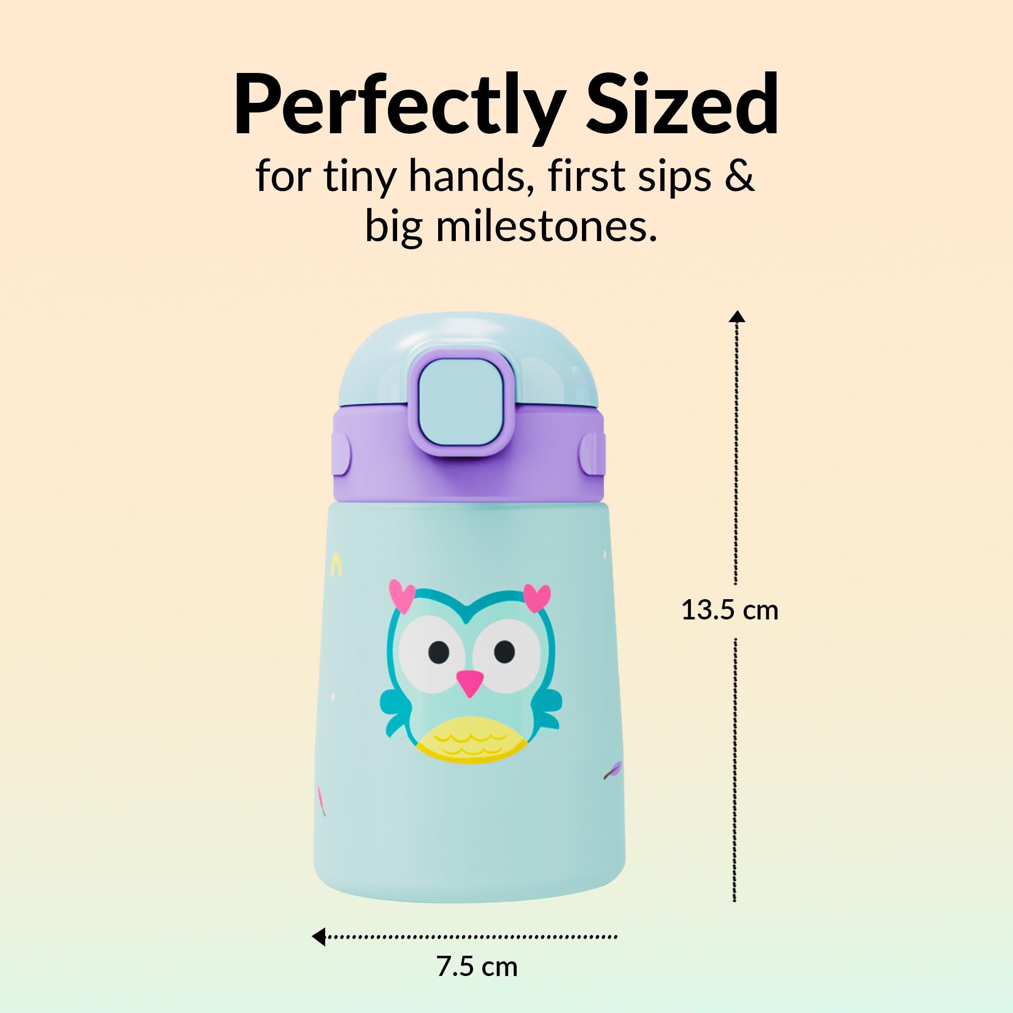 rabitat Milo Stainless Steel Water Bottle 350ml | 2 Year Brand Warranty | BPA Free | Leakproof Steel Sipper Bottle for Kids | Flip Lock Lid with Straw | Easy Carry Handle | Sky Hoot — Amazon image 6