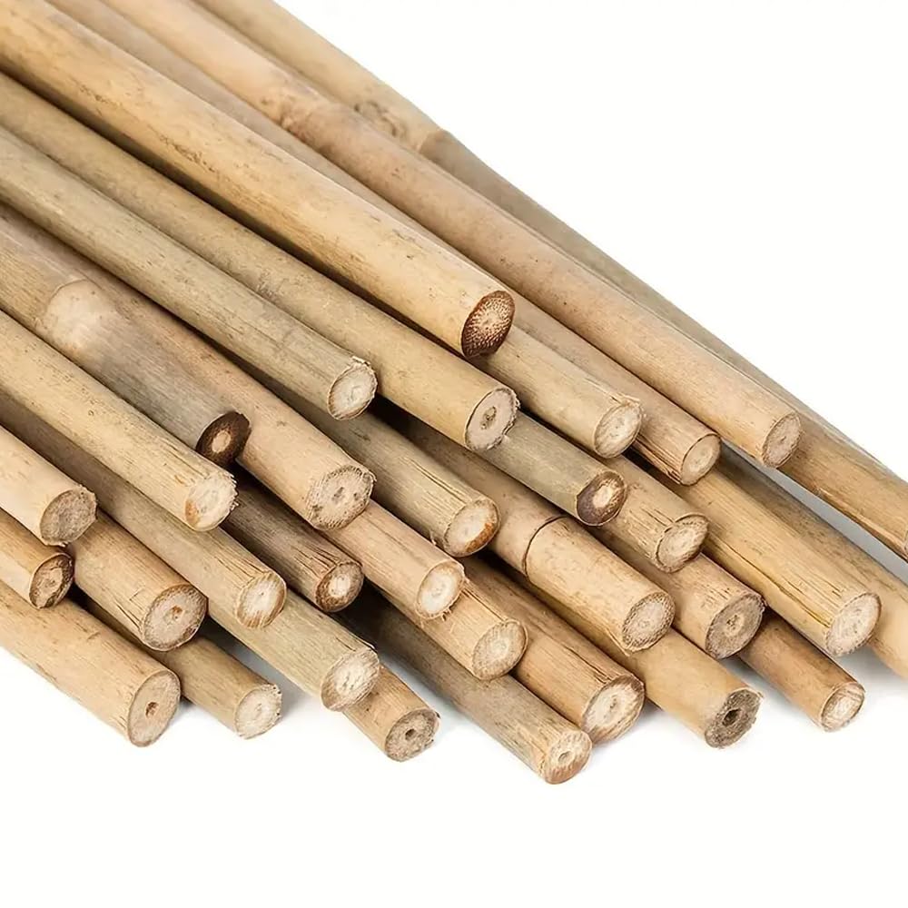 10 Stück Bambusrohre 240 cm Durchmesser 22/24 mm, Stütze