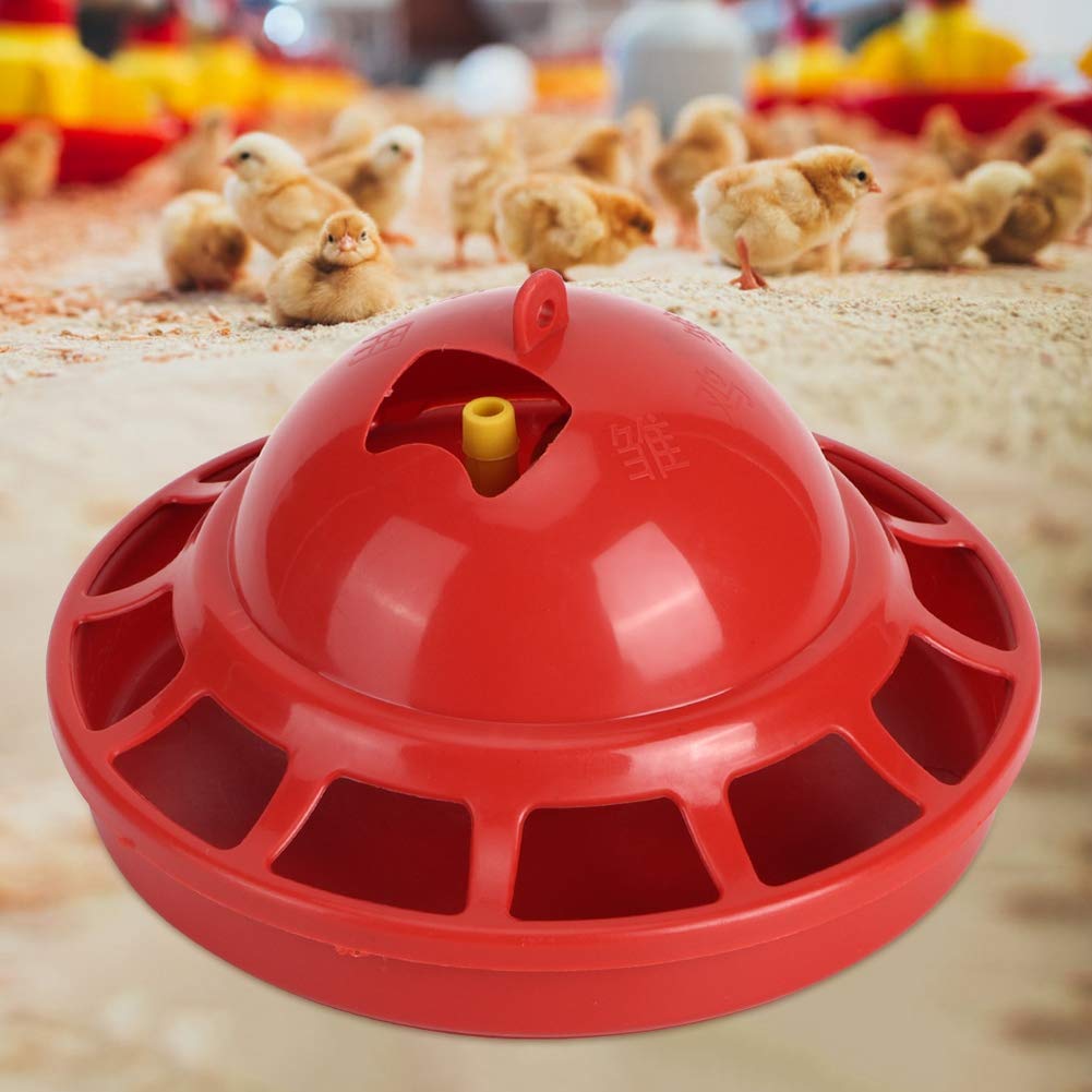 Gavigain Bebedero para Aves de Corral, Bebedero para Aves de Corral, Recipiente para Agua Potable, Accesorios para Jaula para Bebedero para Pollos pequeños, Equipo de Agua Potable