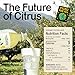 YUZUCO Yuzu super juice (13 Ounces, Pack of 1) – Award-Winning Japanese Yuzu Juice Blend with Lively Citrus Notes, Crafted Specifically for Cocktails, Vinaigrettes & Marinades. HPP-Treated for Freshness. Sustainably Sourced from Japan, Bottled in California.