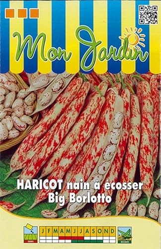 Sachet de graines de Haricot nain à écosser Big Borlotto - 150g - 150 g - Haricot nain à écosser - LES GRAINES BOCQUET