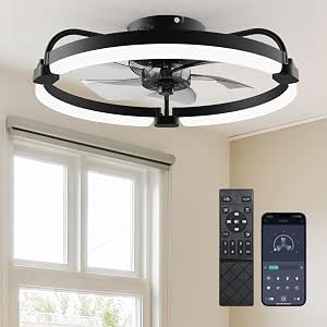 Ensenior 20 Inch Flush Mount Ceiling Fan with Lights, APP Control, Black