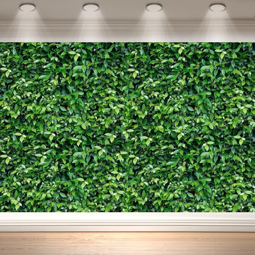 Fondo Fotográfico Tela Verde 7x5 ft miniatura 1