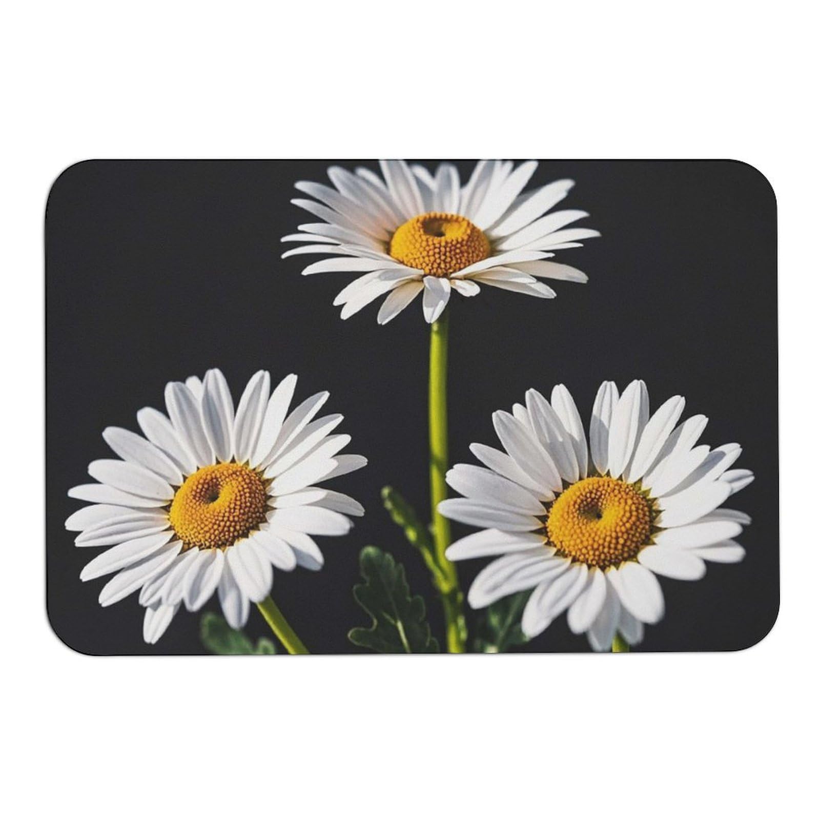 Daisy Door Mat Super Water Absorbent Non Slip Bothroom Rugs for Bathtub Sink Puppy Dog Rugs Easy to Clean Quick Dry Diatom Mud Mat for Entryway Indoor Outdoor