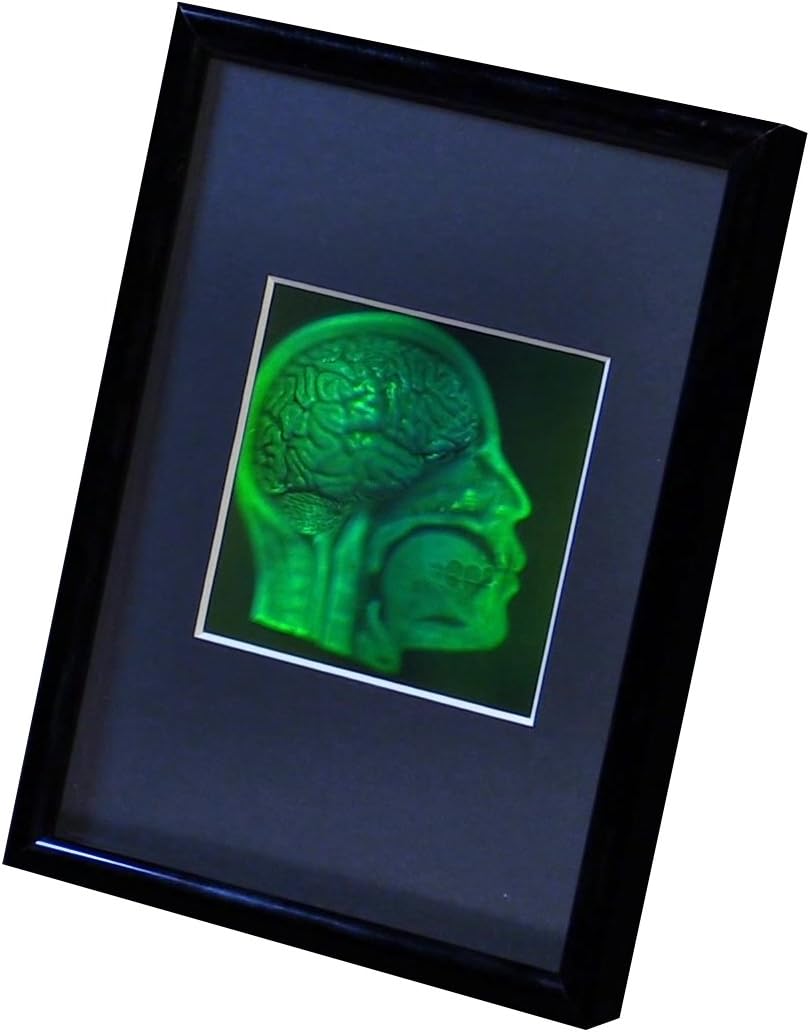 HoloBrands Brain/Skull (Anatomically Accurate) True 3D Photopoloymer Realistic 2-Channel 3D Hologram Picture - Framed