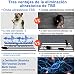 Everenty Repelente Ultrasónico de Plagas [2020 Nueva Versión] Plagas Control Interiores Ahuyentador...