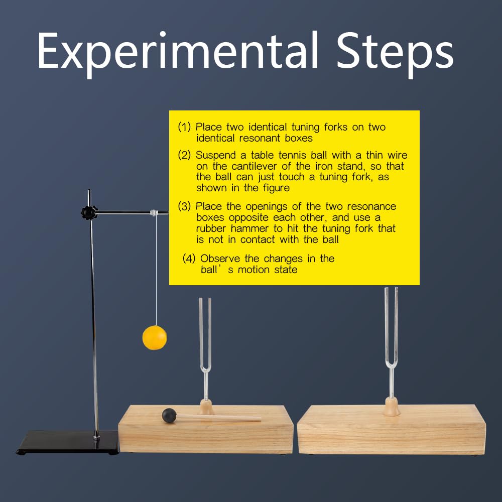 Set Diapason 256Hz Con Scatola Di Risonanza In Legno - Per Meditazione E Guarigione Sonora - Foto 7