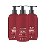 ATTITUDE Limited Edition Liquid Hand Soap, EWG Verified, Plant and Mineral-Based, Vegan Personal Care Products, Apple & Spices, 16 Fl Oz (Pack of 3)