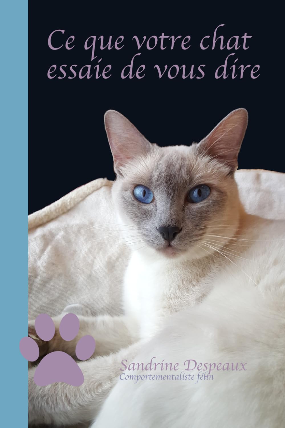 Ce que votre chat essaie de vous dire
