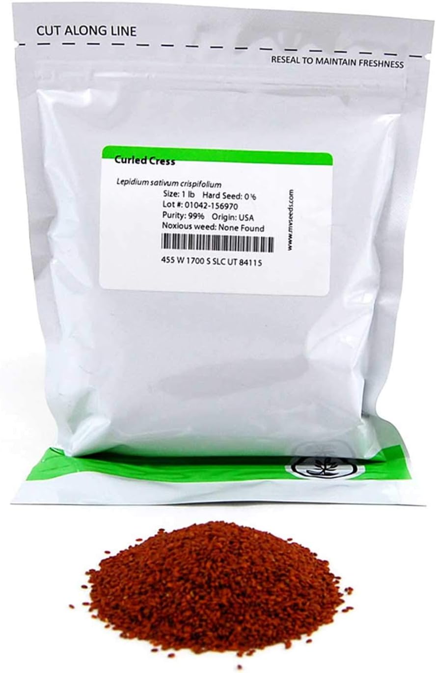 Curled Cress Seeds: 1 Lb - Non-GMO Sprouting Seeds for Growing Micro Greens, Gardening Baby Salad Greens, More