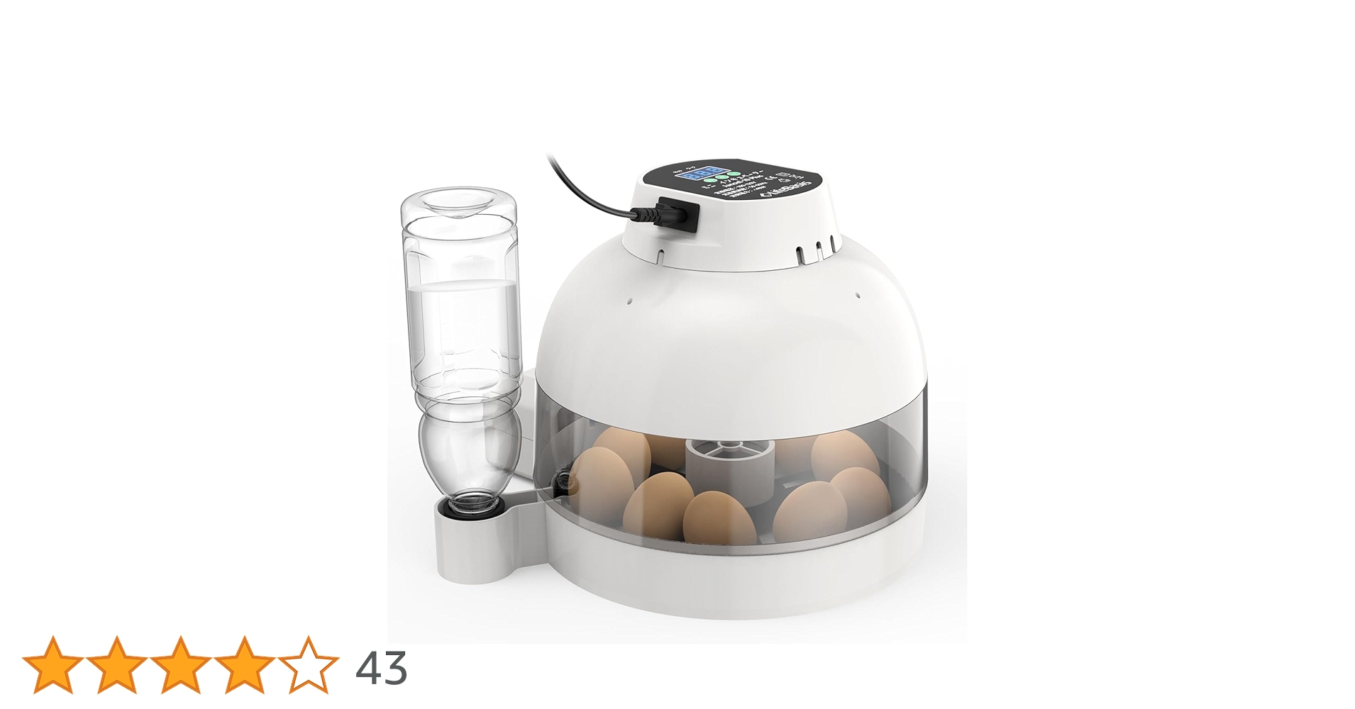 61KnZnPjJdL.jpg_BO30,255,255,