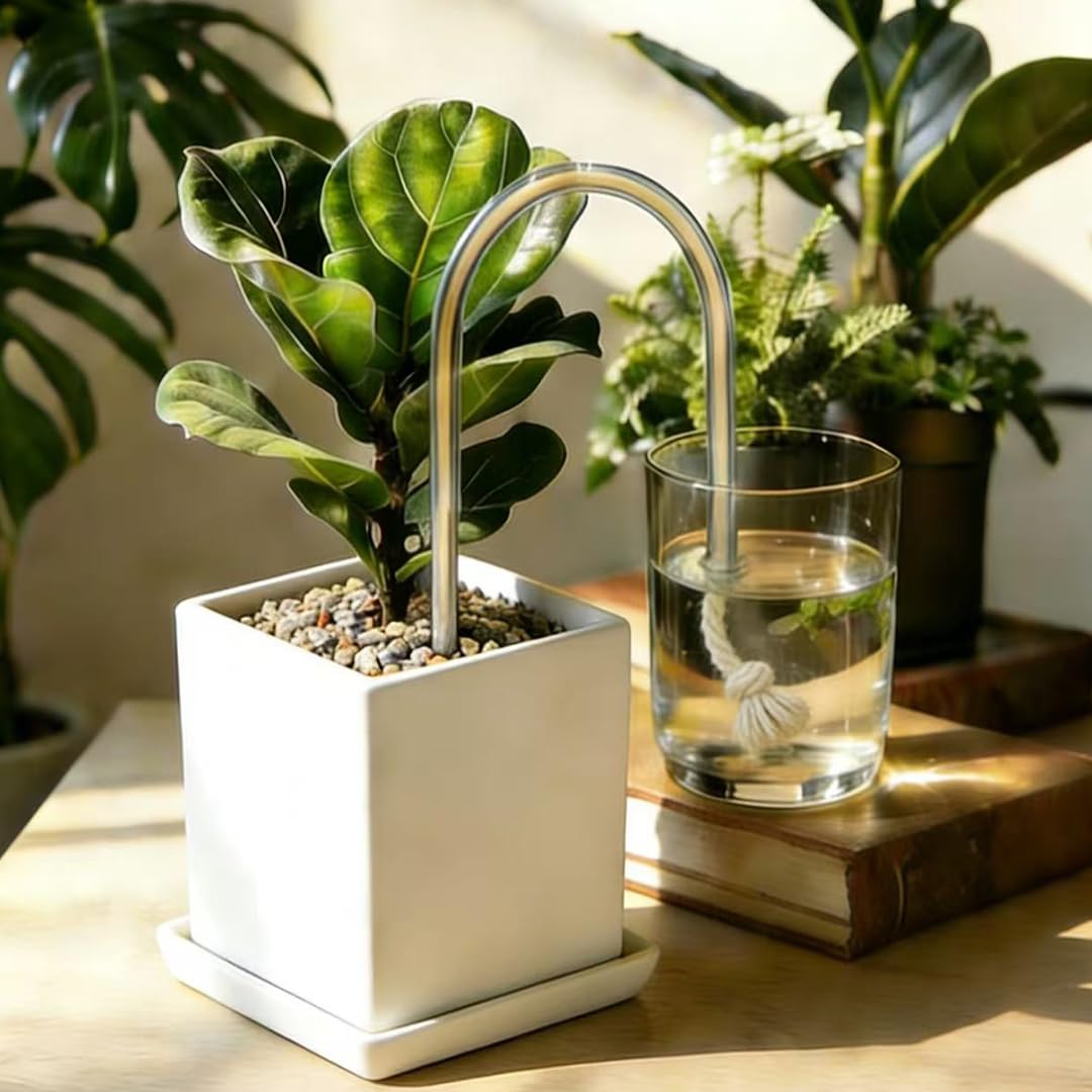 Pflanzen Selbstbewässerung Geräte aus U-förmigem Glas mit Baumwollkordel, Pflanzenbewässerungsgeräte für mühelose Pflanzenpflege, 2 Stück