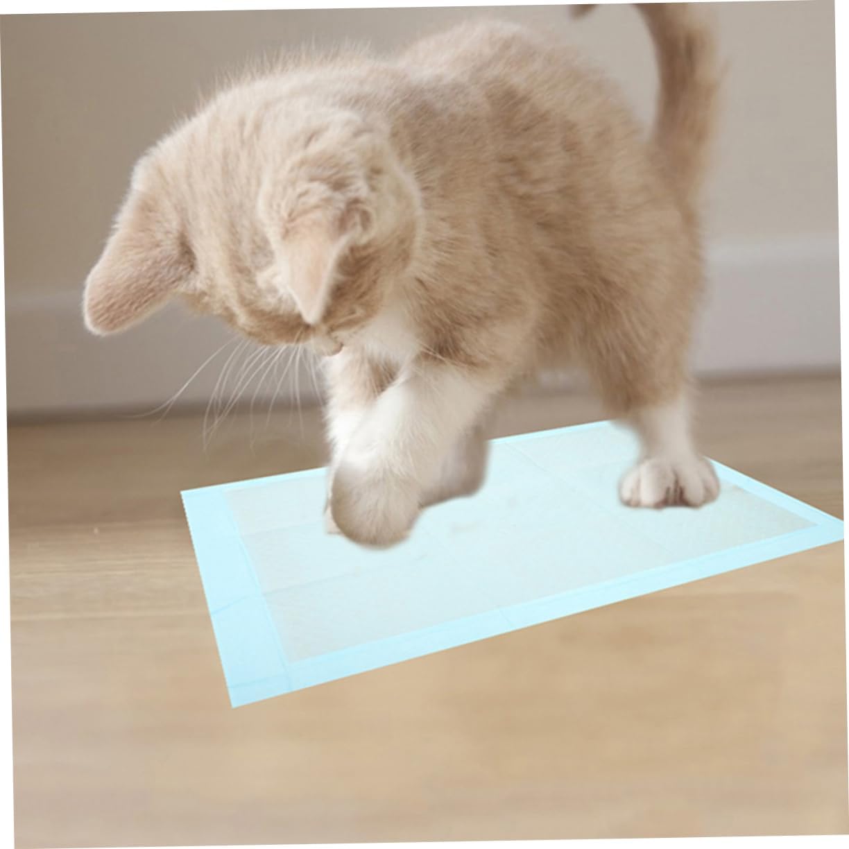 BESPORTBLE 100pcs Super Absorbent Dog Pee Pads Disposable Puppy Training Pads for Indoor and Outdoor Use Leakproof and Quick-Drying for Small Pets and Housebreaking