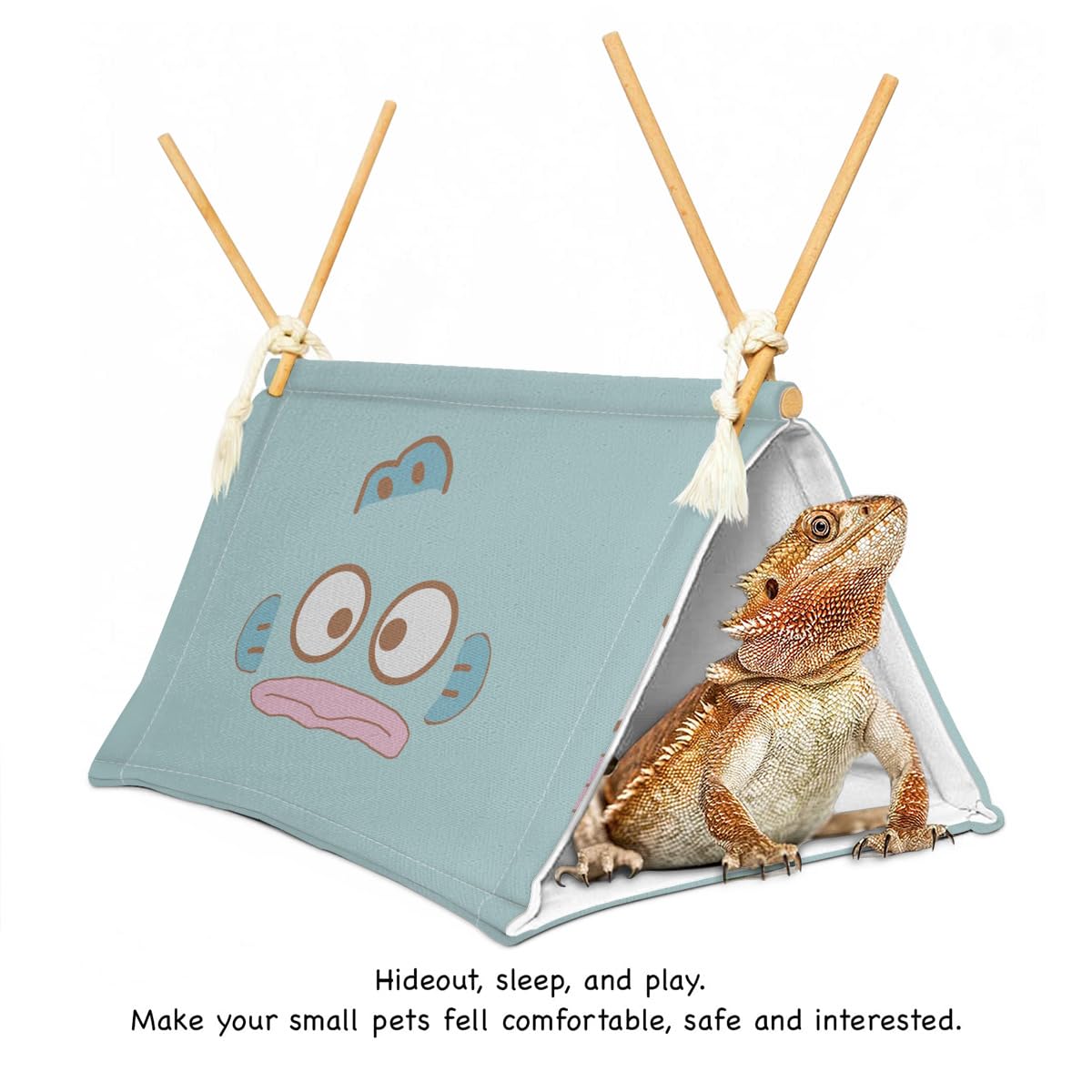 Amazon | ハンギョドン キャットハウス クッション ハウス ペット