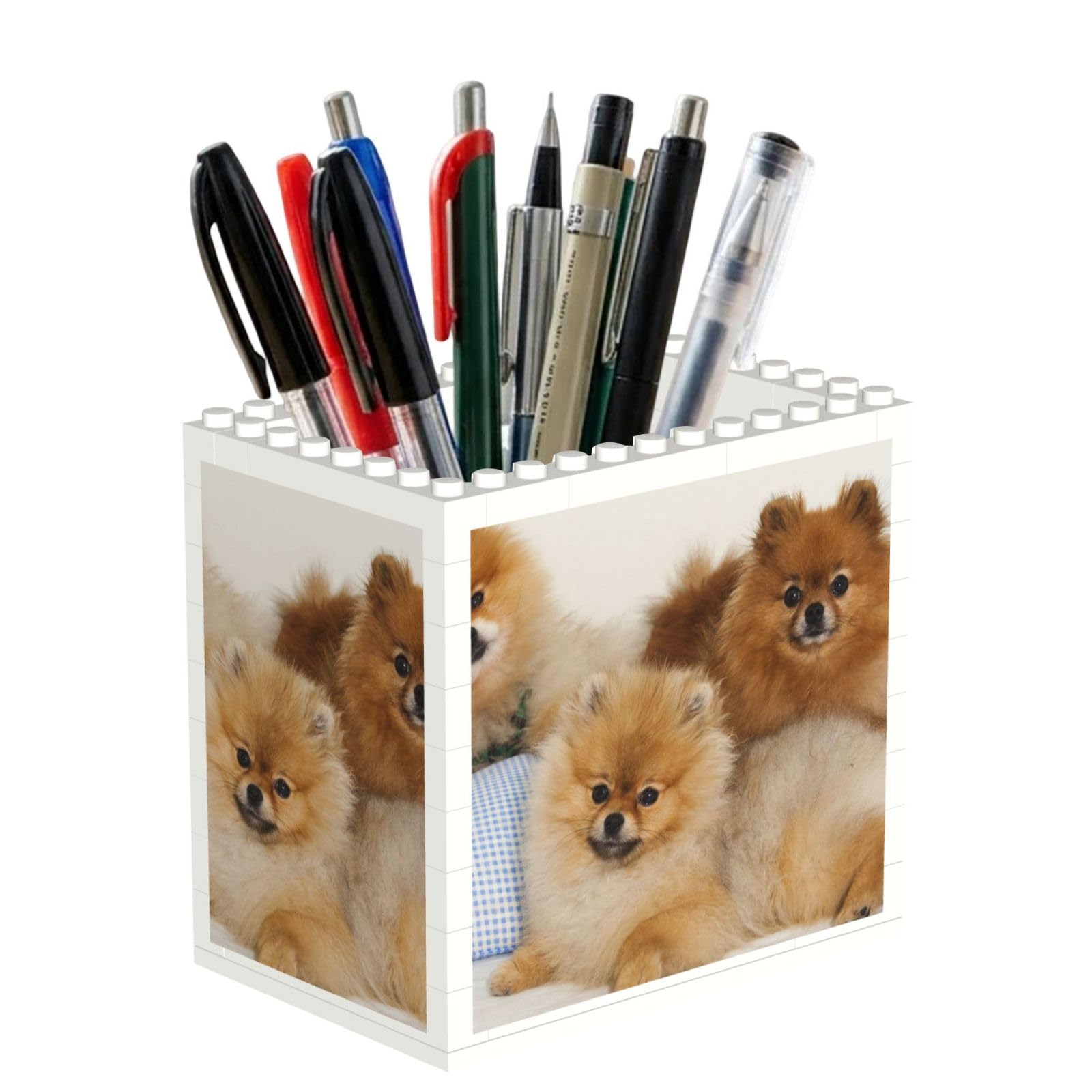 Poadnly Cute Pomeranian Printed, Pen Pot Pencil Holder for Office Home School, Compact Desk Organiser for Office Stationery