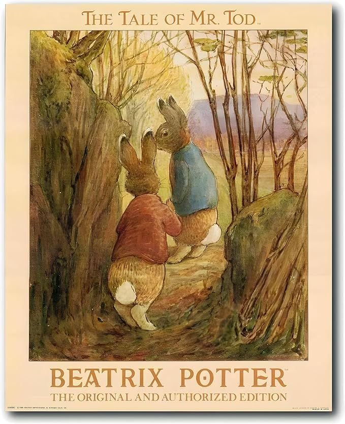 Amazon.com: The Tale of Peter Rabbit Beatrix Potter Original and
