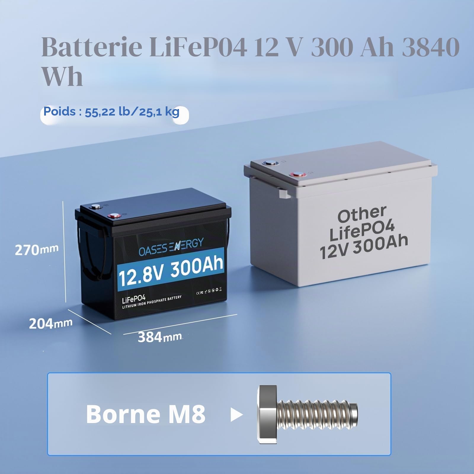 Batterie Lithium 12V 300Ah LiFePO4 Mini, Batterie lifepo4 avec 200A BMS Protection Basse température, 3840Wh 12V pour système Solaire, Camping-Car, pêche à la Ligne, caravanes
