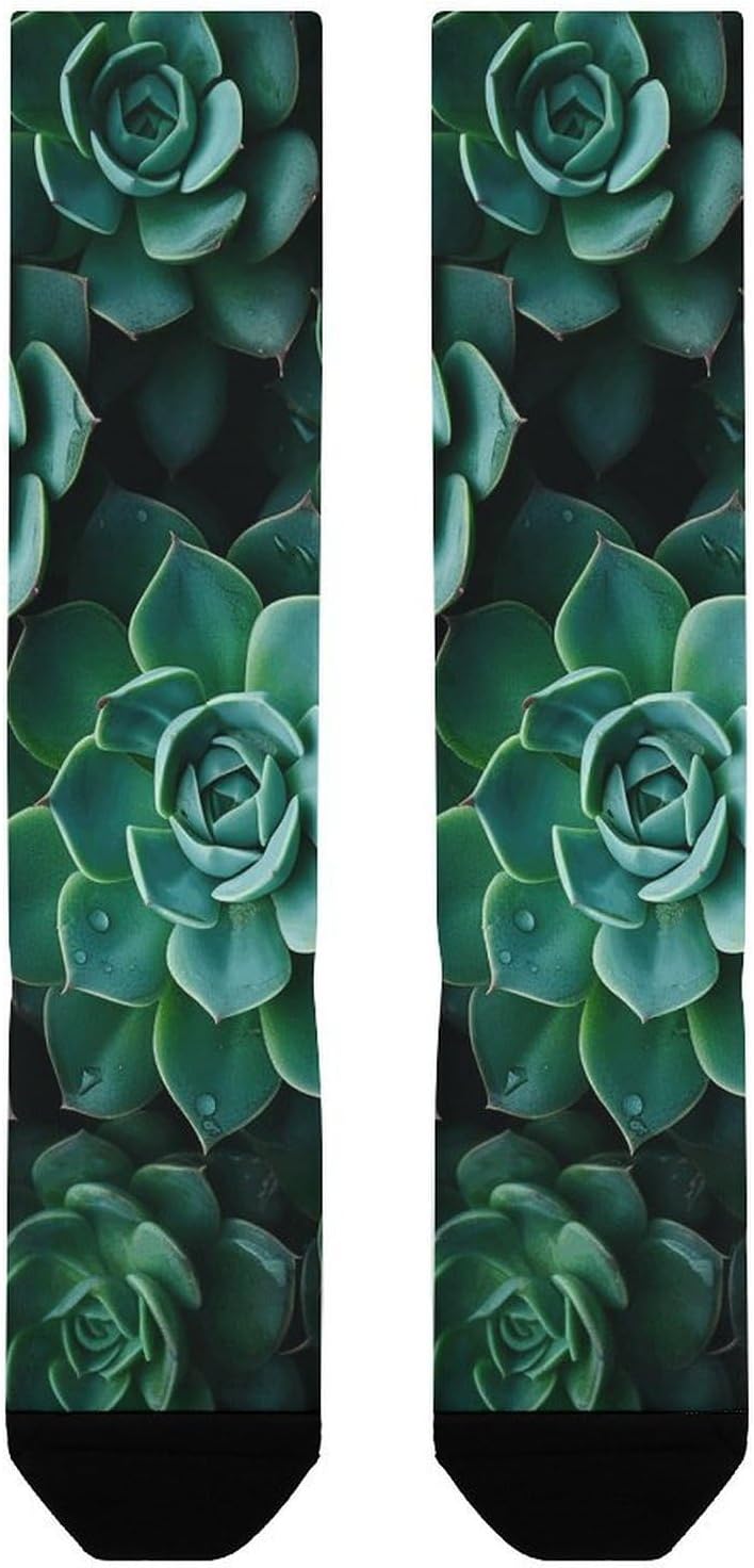 Knee High Socks Green Succulent Plant Long Tube Boot Seamless Toe