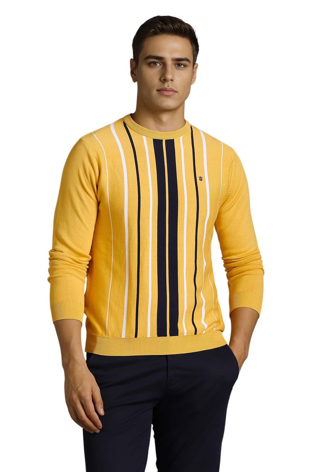 louis philippe Men Sweater-picture-32