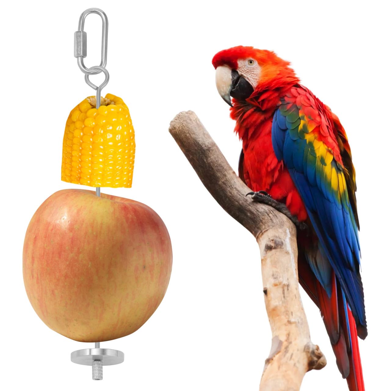 DOITOOL 6piezas Soporte De Comida para Pájaros De Acero Inoxidable De Brochetas para Frutas y Verduras para Periquitos y Loros Fácil De Instalar Jaulas