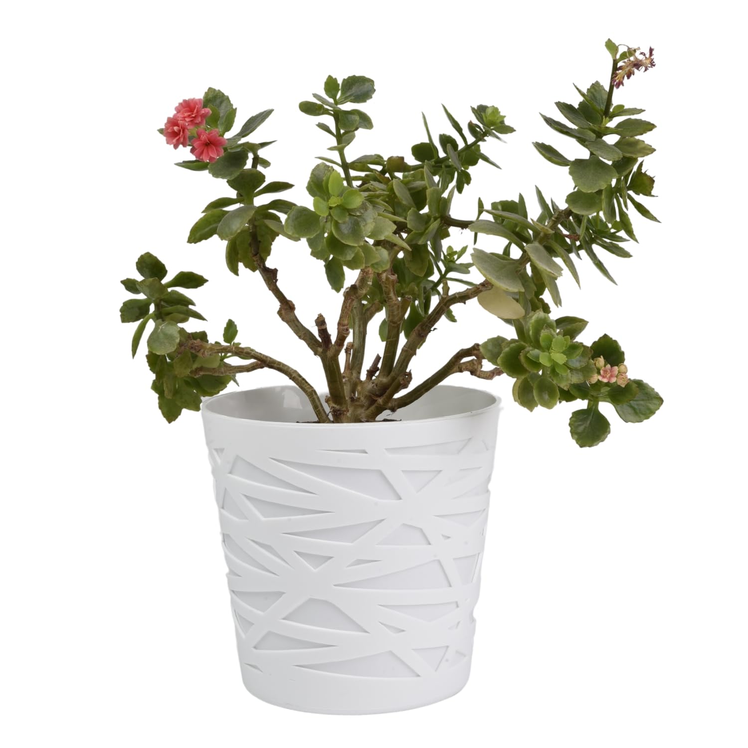 B2C Flowerpot plant pot planter Crystal Modern Decorative Daizy 7 colours 4 sizes (15cm, White)