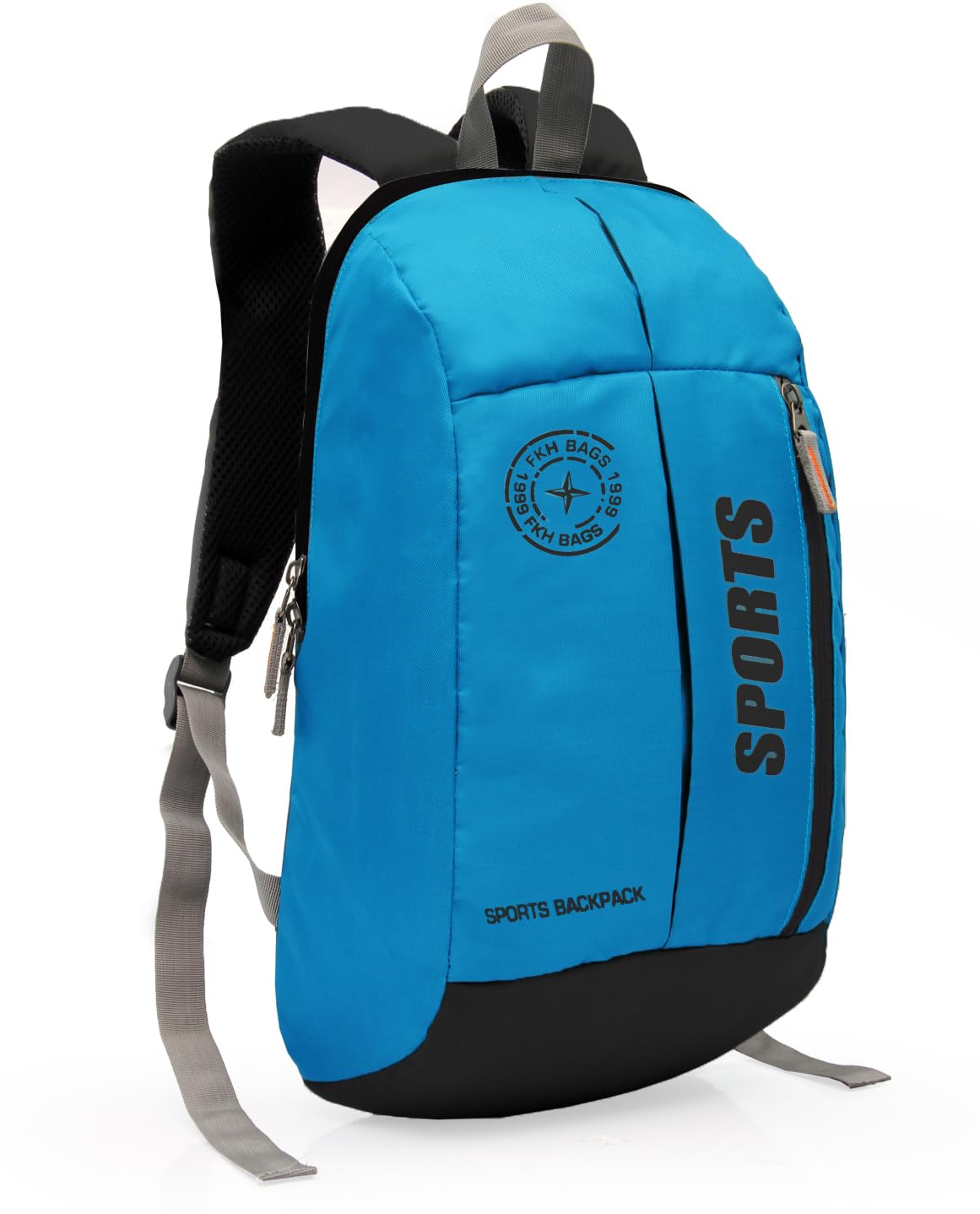 WORLD STAR Large Laptop Backpack/Office Bag/School Bag/College Bag for Unisex | Grey (B0CSYY83J4) Amazon Price History, Amazon Price Tracker
