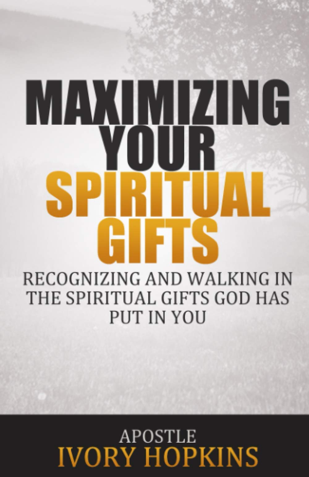 Maximizing Your Spiritual Gifts: Recognizing and Walking In the Spiritual Gifts God Has Put In You